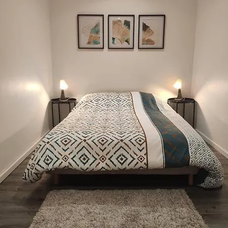 Apartment Spacieux, Hyper Centre Avec Parking Saint-Etienne (Loire)